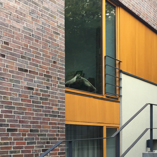 Unbenanntes Projekt
