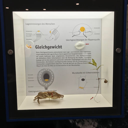 Unbenanntes Projekt